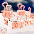 Rose Gold Clips