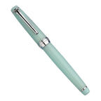 Fountain Resin Pen