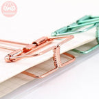 Metal Colourfull Clips